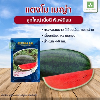 เมญ่า เมล็ดพันธุ์ แตงโม ตอปิโด แตงโมเมญ่า เจียไต๋ 40กรัม 🍉 เมล็ดแตงโม แตงโมเจียไต๋