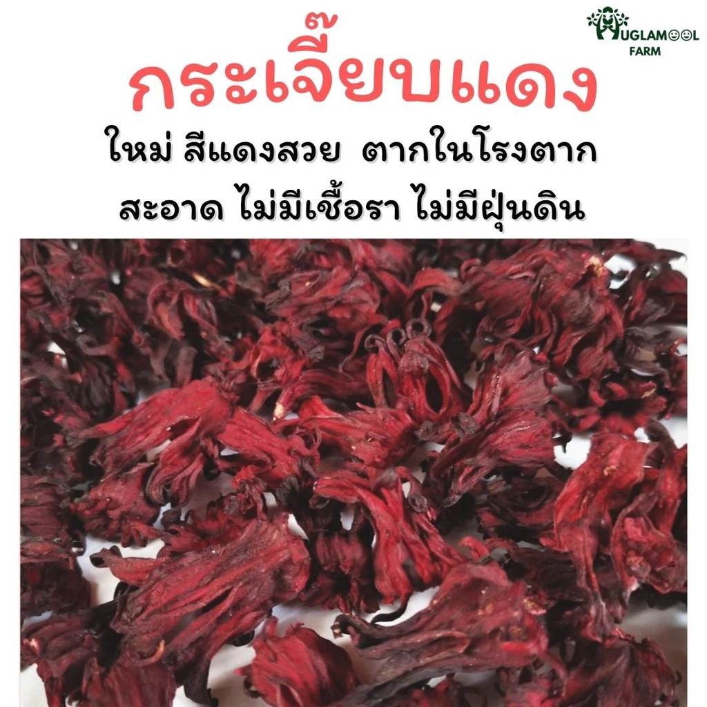 กระเจี๊ยบแดง 100g แถมพุทราจีน กระเจี๊ยบแห้ง HuglamoolFarm