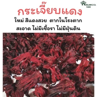 กระเจี๊ยบแดง 100g แถมพุทราจีน กระเจี๊ยบแห้ง HuglamoolFarm