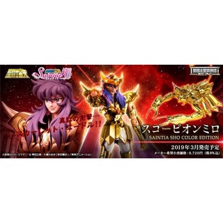 ☣️ NEW Scorpio Milo Gold Saint Saintia Sho Color Edition Saint Seiya Cloth Myth EX Bandai เซนต์​เซย่า #EXO.Killer