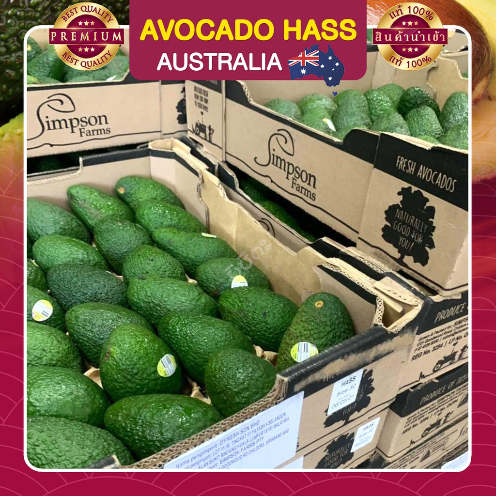 อะโวคาโด อะโวคาโด้ จำนวน 6 ลูก อะโวคาโดสด อโวคาโด้  อโวคาโด นำเข้า AVOCADO HASS AUSTRALIA ผลไม้สด