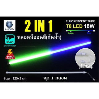 IWACHI หลอดนีออนสี ขั้วกันน้ำ 2 IN 1 พร้อมหัวปลั๊กเสียบ LED 18W สีเขียว+สีน้ำเงิน