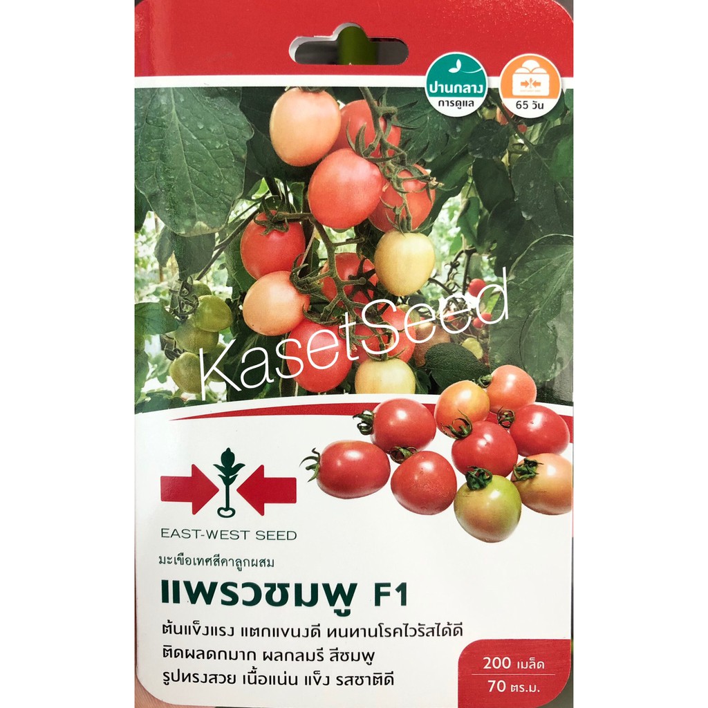 เมล็ดพันธุ์ มะเขือเทศ แพรวชมพู ศรแดง ผักซอง