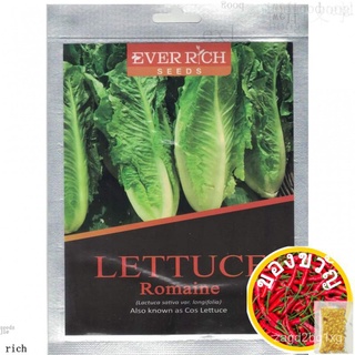 LETTUCE ROMAINE 1 gram (approx seeds) Ever Rich Seed50 seeds (not live plants)ColorMixedManilaesculentumMixCabbageZinnia