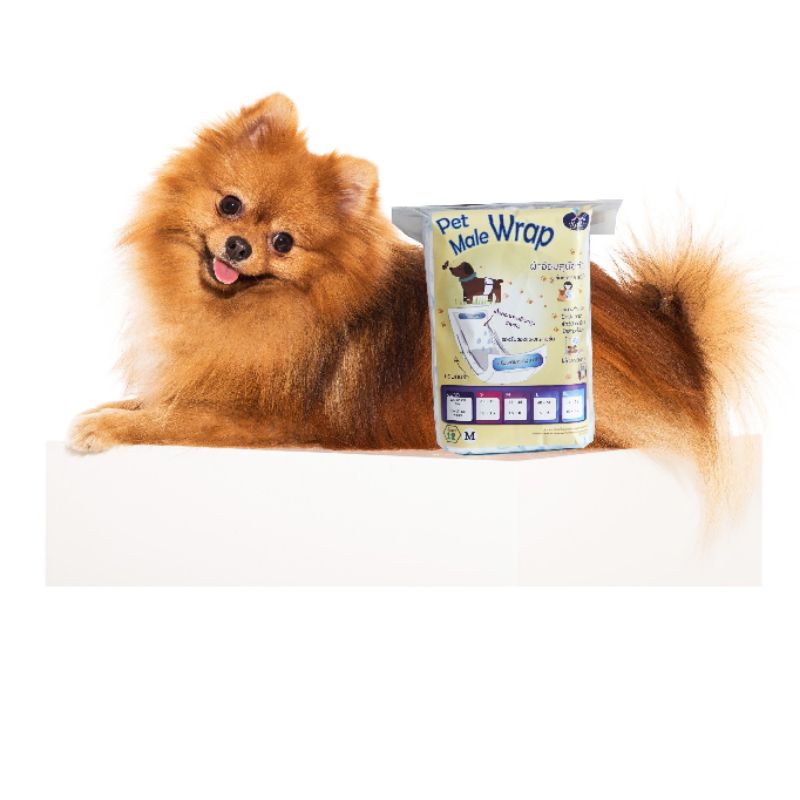 Rada Pet Male Wrap โอบิสุนัข ผ้าอ้อมสุนัขตัวผู้ ห่อ40ชิ้น