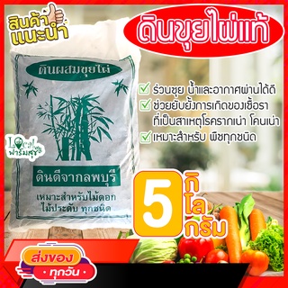 Local ฟาร์มสุข☘ ดินขุยไผ่ 100% ดินปลูกต้นไม้ ดินปลูกผัก ดินเพาะกล้า ป้องกันโรครากเน่า โคนเน่า มีธาตุอาหารสูง 5 กิโล