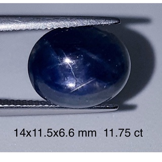 11.75 ct ไพลิน ธรรมชาติ บลูสตาร์ Natural Blue Star Sapphire oval Loose Gemstone For Fine Jewelry