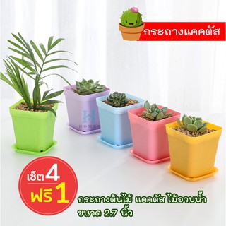 กระถางแคคตัส กระถางต้นไม้ ขนาด 2.7 นิ้ว สีพาสเทล เซ็ต 4 ชิ้น แถม 1