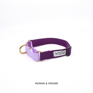 ปลอกคอสุนัข Human and  Hound - Martingale Lavender/Purple ปลอกคอฝึกสุนัข