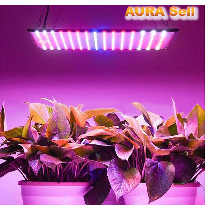 ไฟเลี้ยงต้นไม้ ในตึก เร่งโต 5V ความยาว5M กันน้ำได้มีกาวในตัว  ใช้ปลูกต้นไม้ เร่งโต ในที่ไม่มีแสงอาทิตย์ - รูปที่ 5