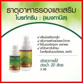 ปู๋ยน้ำกิฟฟารีน ไบรท์-กรีน กิฟฟารีน Bright Green แมงกานีสคีเลท ช่วยเรื่องการสังเคราะห์แสงของพืช