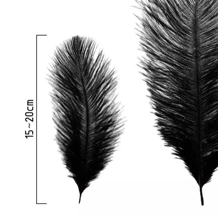 ขนนก (ขนนกก้านประดิษฐ์) DIY  แพ็ค 8-12 ชิ้น (ความยาว 20 ซม.) (ความยาว 15 ซม.) เลือกสีได้ ขนนกประดับ ขนนกพรอพถ่ายรูป​ - รูปที่ 3