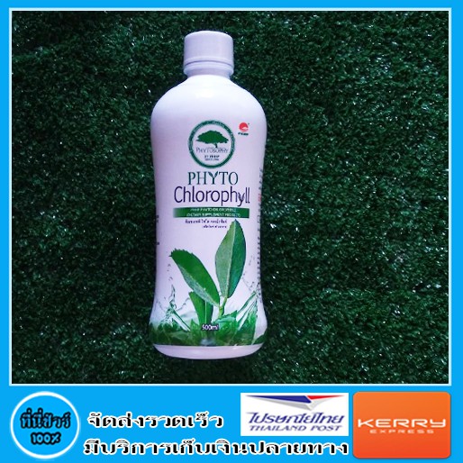Phyto Chlorophyll ( ไฟโต คลอโรฟิลล์ ) PHHP แท้ %