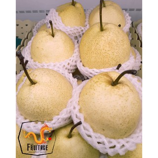 สาลี่น้ำผึ้ง Sweet Pear (1ลูก) (CHN) นำเข้า ~ลดพิเศษ~ หอม หวาน อร่อย !