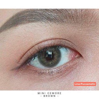🤎Mini Cemore Brown🧸(สวยมาก)สายตา-1.25ถึง-3.00,-400ถึง-5.50,-6.50,-7.00,-7.50,-8.00,-8.50,-10.00(kitty kawaii)