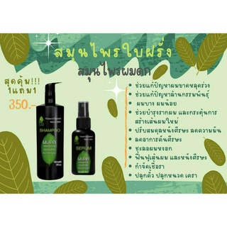 แชมพูสมุนไพรผมดก แชมพูลดผมร่วง+เซรั่มปลูกผมLot.ใหม่ขนาด120 Ml  ของแท้100% สมุนไพรใบฝรั่ง