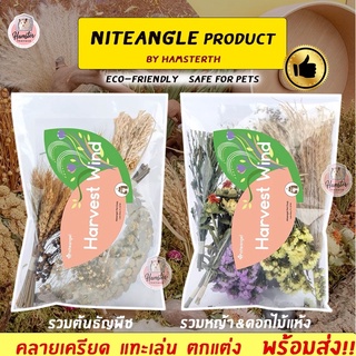 [Hamsterth] พร้อมส่ง‼️ Harvest Wind Flexseed ธัญพืช มิลเล็ต รองกรง หญ้า Niteangle แอสเพน  สัตว์เลี้ยง แฮมสเตอร์