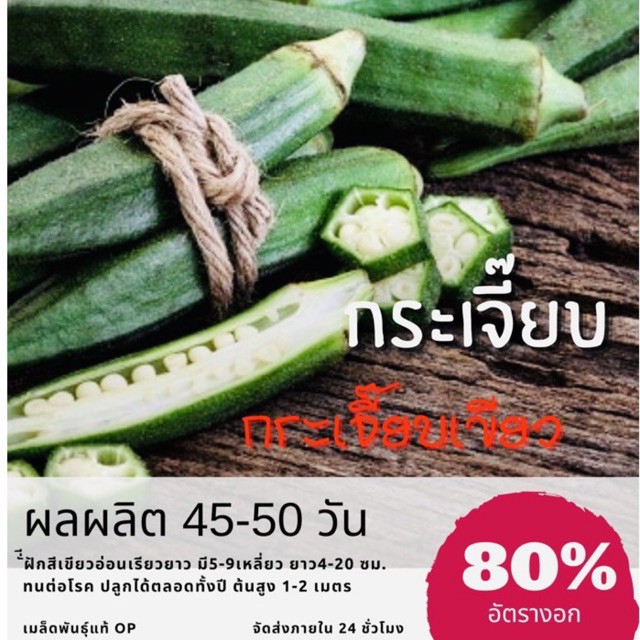 เมล็ดพันธุ์ กระเจี๊ยบเขียว 150 เมล็ด กระเจี๊ยบ ✅ราคาถูก🪴ปลูกง่าย ปลูกไว้ทานกินเอง🔥ซื้อ10แถม1 คละได้🔥