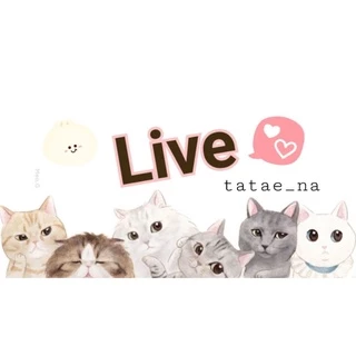 ✅ สินค้าไลฟ์สด กิ๊ฟ ยางมัดผม ไม้คาดผม