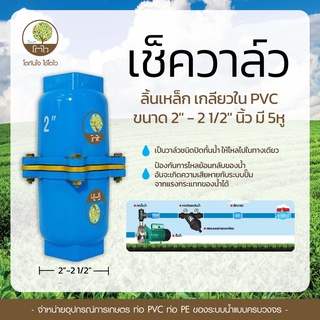 เช็ควาล์ว ลิ้นเหล็ก เกลียวใน PVC ขนาด 2" - 2 1/2" นิ้ว มี 5หู - โตไว