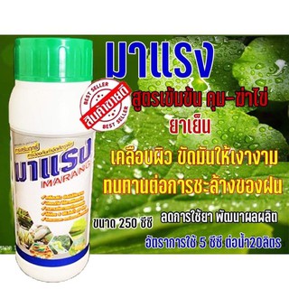 มาแรง สารสกัดธรรมชาติ สูตรเย็น ยาจับใบ สารเสริมประสิทธิภาพ สารฆ่าคุมไข่และแมลง ( 250 ซีซี)