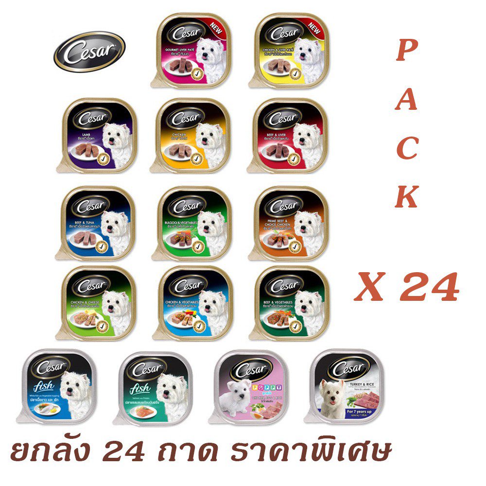 อาหารเปียกสุนัขซีซาร์ Cesar ขนาด 100 กรัม ยกลังคละรสได้ BiBJ