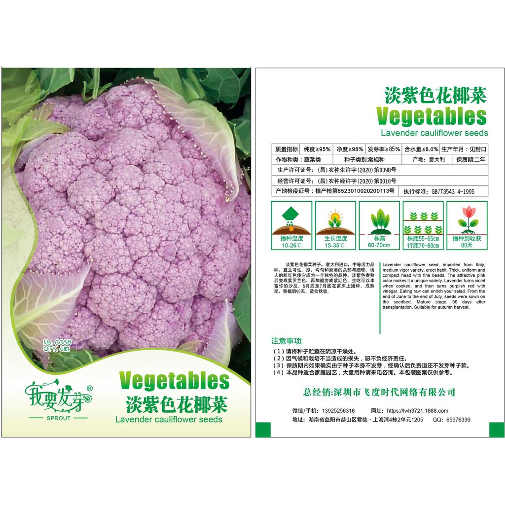 淡紫色花椰菜种子椰菜花西兰花甘蓝花洋花菜球花甘蓝4粒 包 Shopee Thailand