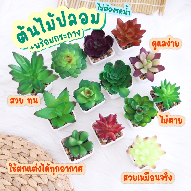 [Y69HNYลด45B💸]ต้นไม้ปลอม ต้นไม้ประดิษฐ์ในกระถาง ต้นไม้ตกแต่งบ้าน พร้อมกระถาง ต้นไม้ตกแต่งห้อ