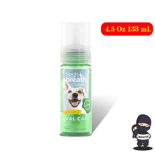 Fresh Breath Instant Fresh Foam 4.5 Oz