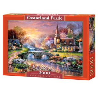 Castorland jigsaw puzzle จิ๊กซอว์ 3000 ชิ้น