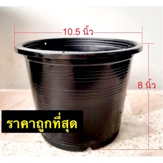 กระถางพลาสติก กระถางต้นไม้พลาสติก ขนาด 10 , 11 นิ้ว สั่งซื้อขั้นต่ำ 5 ใบ