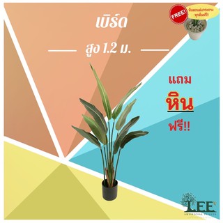 ต้นเบิร์ด ออฟ พาราไดส์ (ฺBird of Paradise) สูง 1.2 เมตร พร้อมกระถาง #ต้นไม้ปลอมตกแต่งบ้าน Leeartplants (๙)