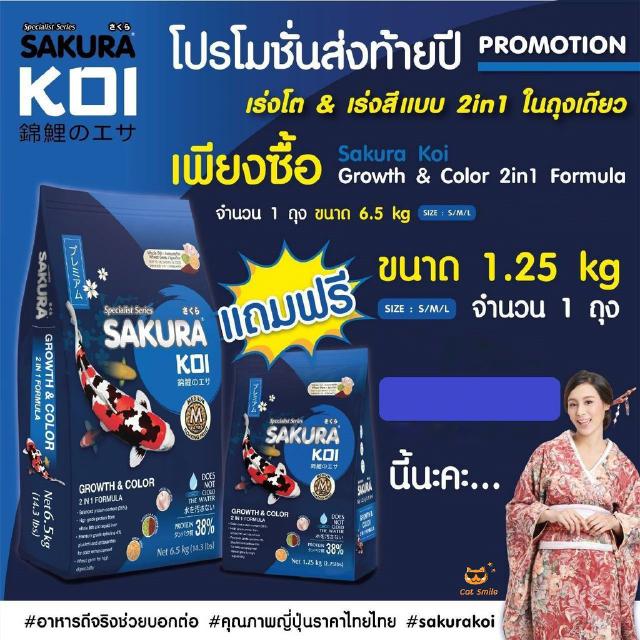 Sakura Koi Growth &amp; Color อาหารปลาคาร์ฟ สูตรเร่งสี เร่งโต 6.5kg แถมฟรี ขนาด 1.25 กก. (จนกว่าของจะหมด) (เม็ดM ขนาด 4mm.)