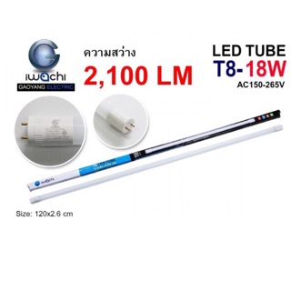 หลอดไฟ IWACHI หลอดไฟ LED T8 18W Daylight