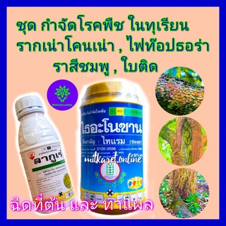 ชุด กำจัดโรคในุเรียน โรครากเน่าโคนเน่า ไฟท๊อปธอร่า ไธอะโนซาน (ไทแรม) 500g + ลากูเร่ 500 cc ยาทุเรียน ใบติด ใบจุด โรคกิ่ง