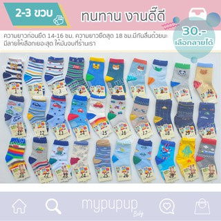 ถุงเท้าเด็กชาย 2-3  ขวบ มีกันลื่น เลือกลายได้