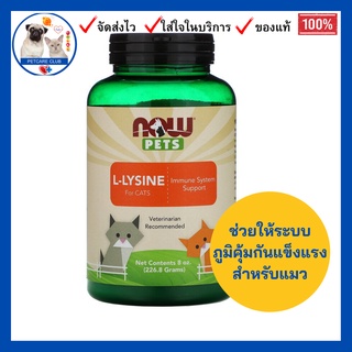 Pets, L-Lysine for Cats, 8 oz (226.8 g) ช่วยให้ระบบภูมิคุ้มกันแข็งแรงสำหรับแมว