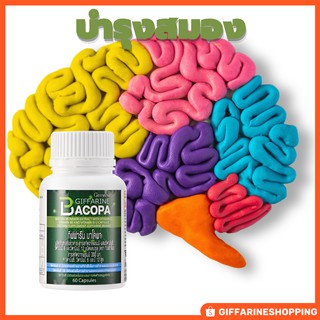 Bacopa บาโคพา บำรุงสมอง ฟื้นฟูความจำ ช่วยบำรุงสมอง ช่วยเพิ่มความจำ ช่วยพัฒนาการเรียนรู้เสริมสมาธิ เพิ่มการไหลเวียนโลหิต