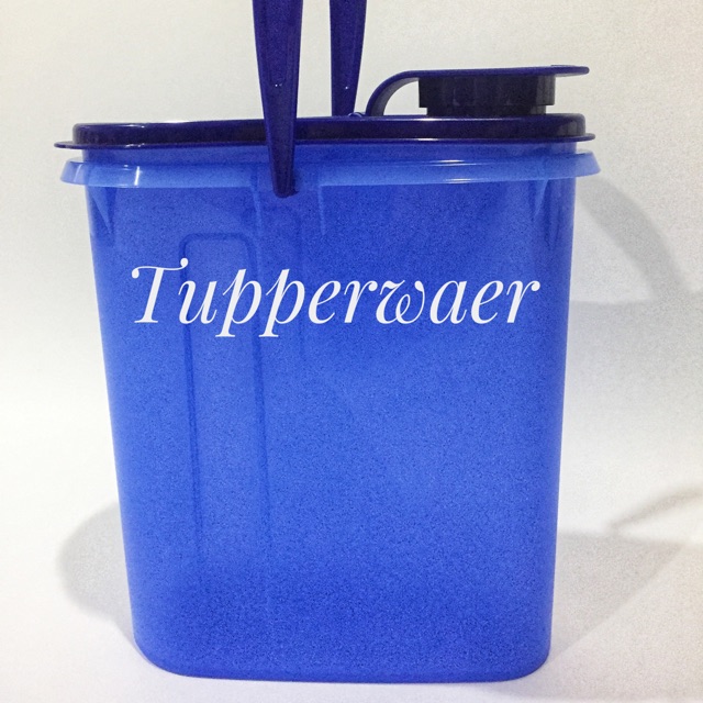 Tupperwaer Beverage Buddy