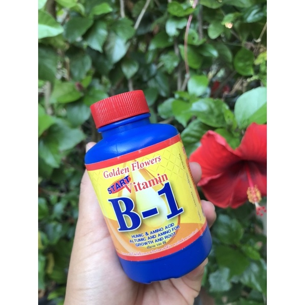 น้ำยาเร่งราก เรียกราก บำรุงราก B-1