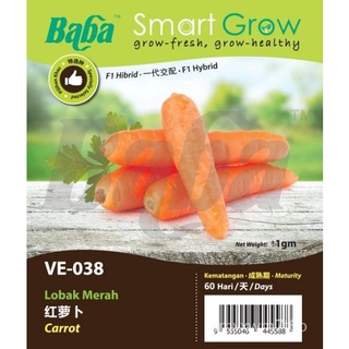 GNC - Baba Smart Grow Seeds VE-038 Carrot (Lobak Merah) Vege Seed Biji Benih Sayur Sayuran母婴/上衣/园艺/玫瑰/内裤/木瓜/帽子/通心菜/鲜花/苹果