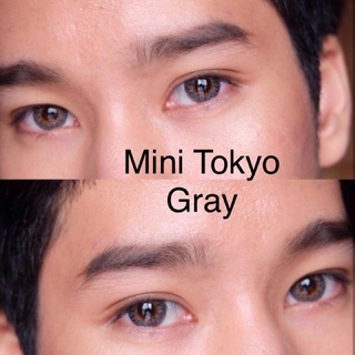 🦄🌈Dreamcolor I Mini Tokyo Gray / Brown 0.00-5.00 มีเก็บปลายทาง