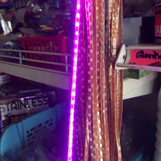 ไฟเส้นLED 12v ยาว ติดตั้งง่าย