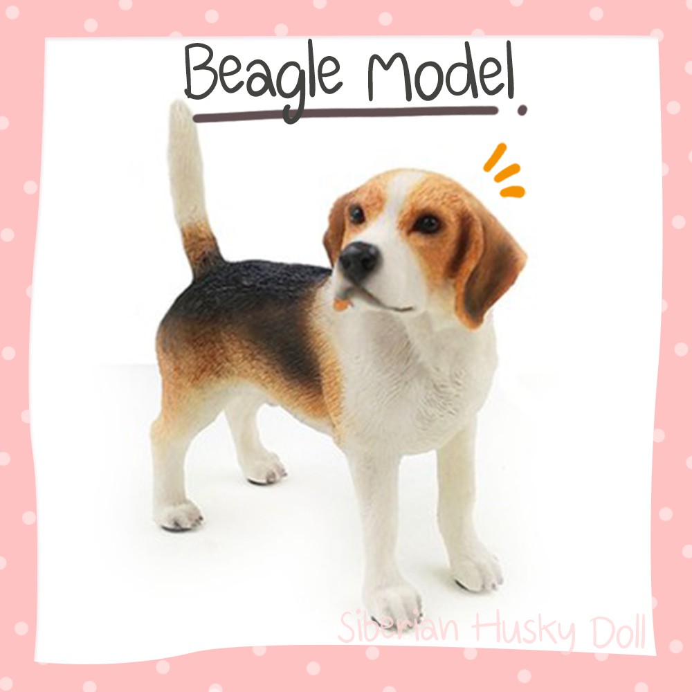 Beagle Model เรซิ่นจำลอง บีเกิ้ล 🐶 สำหรับแต่งบ้าน ของเล่น ของสะสม โมเดลบีเกิ้ล บีเกิ้ล โมเดลหมา โมเดลสุนัข ตุ๊กตาหมา