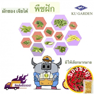 เมล็ดอวบอ้วน100%CHIATAI  รวมผัก ผักซอง เจียไต๋ กินฝัก 12 ชนิด *คละชนิดได้ เพียงกดเพิ่มชนิดลงรถเข็น* บวบ มะระ ถั่ว กระเจี