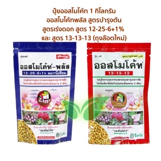 ปุ๋ยออสโมโค้ท 1 กิโลกรัม ออสโมโค้ทพลัส สูตรบำรุงต้น สูตรเร่งดอก สูตร 12-25-6+1% และ สูตร 13-13-13 (ถุงล๊อตใหม่)