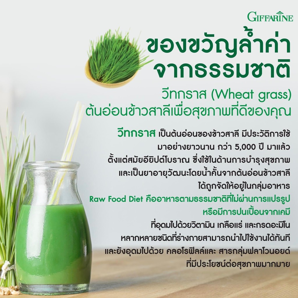 วีทกราส ภาวะโลหิตจาง ธาลัสซีเมีย ต้นอ่อนข้าวสาลี ใบอ่อนข้าวสาลี มีวิตามิน เอนไซม์ มีฤทธิ์เป็นสารต้านอนุมูลอิสระ