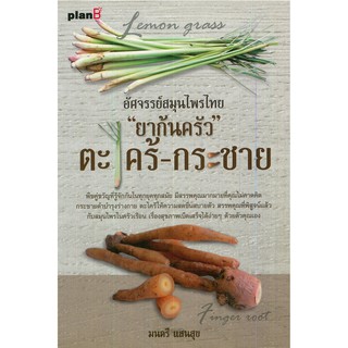 สมุนไพรไทย ยาก้นครัว ตะไคร้ กระชาย