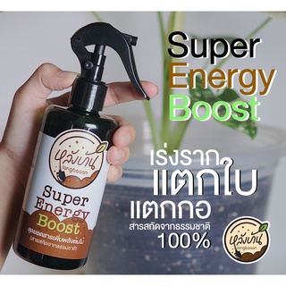 Super Energy Boost เร่งราก แตกใบ แตกกอ แตกหน่อ แตกตา เร่งไหล เร่งราก สุดคุ้มเลยจ้า