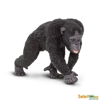 Safari Ltd. : SFR224729 โมเดลสัตว์ Chimpanzee